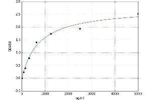 A typical standard curve (KISS1 ELISA 试剂盒)