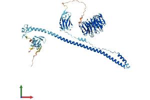 Protein Structure (PS) image for Tripartite Motif Containing 2 (TRIM2) (AA 1-744) protein (His tag) (ABIN7561479)