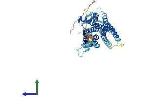 Protein Structure (PS) image for Tachykinin Receptor 2 (TACR2) (AA 1-398) protein (His tag) (ABIN7549719)