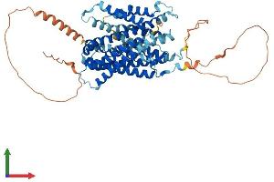 Protein Structure (PS) image for Solute Carrier Family 38 Member 4 (SLC38A4) (AA 1-547) protein (His tag) (ABIN7559682)