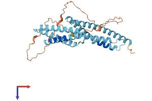 Envoplakin-Like (EVPLL) (AA 1-301) protein (His tag)