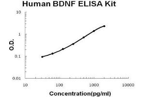 Human BDNF PicoKine ELISA Kit standard curve (BDNF ELISA 试剂盒)