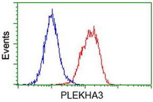 Image no. 3 for anti-Pleckstrin Homology Domain Containing Family A3 (PLEKHA3) antibody (ABIN1500273) (PLEKHA3 抗体)