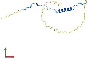 Protein Structure (PS) image for Anaphase Promoting Complex Subunit 15 (ANAPC15) (AA 1-132) protein (His tag) (ABIN7556554)