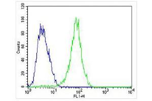 Overlay histogram showing MCF-7 cells stained with (ABIN6243203 and ABIN6577910) (green line). (FGF9 抗体)