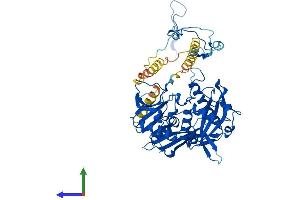 AlphaFold protein structure predicition of Mouse Recombinant Eif3d Protein, UniprotID O70194