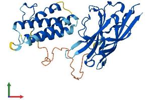 Protein Structure (PS) image for Axin Interactor, Dorsalization Associated (AIDA) (AA 1-306) protein (His tag) (ABIN7551992)