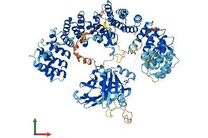 Protein Structure (PS) image for Adaptor-Related Protein Complex 1, beta 1 Subunit (AP1B1) (AA 1-949) protein (His tag) (ABIN7552192)