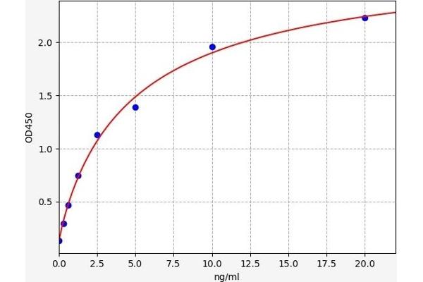 TCF3 ELISA 试剂盒