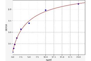 Typical standard curve (TCF3 ELISA 试剂盒)