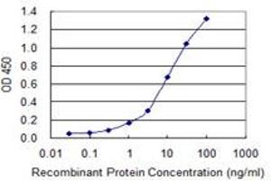 Detection limit for recombinant GST tagged HRH1 is 0. (HRH1 抗体  (AA 312-414))