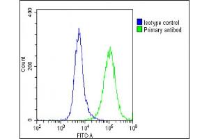 Overlay histogram showing U-87 MG cells stained with (ABIN6242124 and ABIN6578885)(green line). (Solute Carrier Family 17 (Vesicular Glutamate Transporter), Member 6 (SLC17A6) (AA 255-289) 抗体)