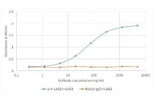 Binding curve of anti-Lag3 antibody C9B7W (ABIN7072564) to recombinant mouse Lag3 Fc-Fusion Protein. (Recombinant LAG3 抗体)