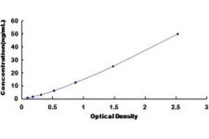 Typical standard curve (Glutathione Synthetase ELISA 试剂盒)
