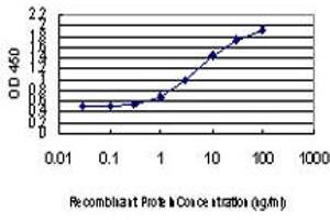 Detection limit for recombinant GST tagged ANGPTL7 is approximately 0. (ANGPTL7 抗体  (AA 27-126))