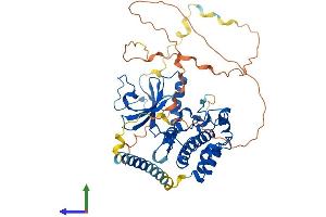 Protein Structure (PS) image for Protein Kinase, Membrane Associated tyrosine/threonine 1 (PKMYT1) (AA 1-499) protein (His tag) (ABIN7550766)