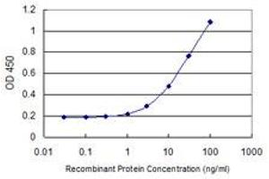 Detection limit for recombinant GST tagged ARG2 is 0. (ARG2 抗体  (AA 1-354))