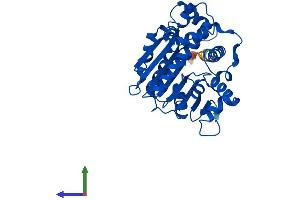 AlphaFold protein structure predicition of Human Recombinant LCMT1 Protein, UniprotID Q9UIC8