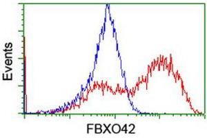 Image no. 4 for anti-F-Box Protein 42 (FBXO42) (AA 356-717) antibody (ABIN1491449)
