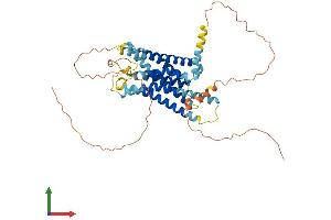 AlphaFold protein structure predicition of Mouse Recombinant Gpr135 Protein, UniprotID Q7TQP2
