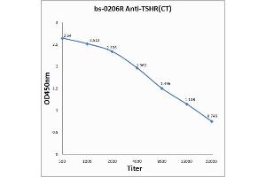 Antigen: 0. (TSH receptor 抗体  (AA 648-740))