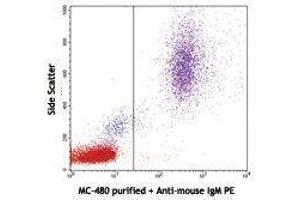 Flow Cytometry (FACS) image for anti-Fucosyltransferase 4 (Alpha (1,3) Fucosyltransferase, Myeloid-Specific) (FUT4) antibody (ABIN2660515) (CD15 抗体)