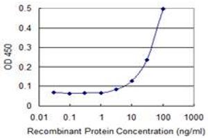 Detection limit for recombinant GST tagged PCDHGC5 is 0. (PCDHGC5 抗体  (AA 467-575))