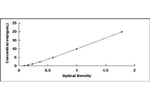 Typical standard curve (C5 ELISA 试剂盒)