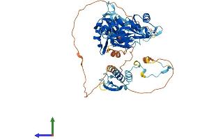 Protein Structure (PS) image for RNA Binding Motif Protein 46 (RBM46) (AA 1-533) protein (His tag) (ABIN7556767)