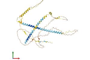 Protein Structure (PS) image for Involucrin (IVL) (AA 1-467) protein (His tag) (ABIN7563329)