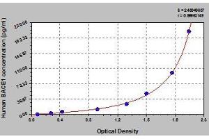 Typical standard curve (BACE1 ELISA 试剂盒)