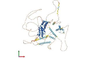AlphaFold protein structure predicition of Mouse Recombinant Brdt Protein, UniprotID Q91Y44