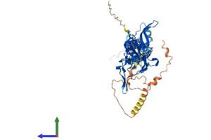 Protein Structure (PS) image for Potassium Inwardly-Rectifying Channel, Subfamily J, Member 4 (KCNJ4) (AA 1-445) protein (His tag) (ABIN7563414)