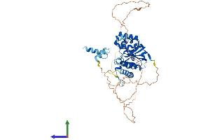 Protein Structure (PS) image for Glycogenin 2 (GYG2) (AA 1-501) protein (His tag) (ABIN7548047)