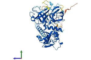 AlphaFold protein structure predicition of Human Recombinant TMPRSS3 Protein, UniprotID P57727