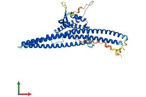 Protein Structure (PS) image for Sorting Nexin 4 (SNX4) (AA 1-450) protein (His tag) (ABIN7546191)