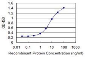 Detection limit for recombinant GST tagged MTCP1 is 0. (MTCP1 抗体  (AA 1-68))