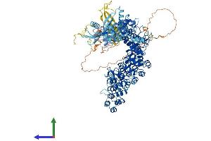 AlphaFold protein structure predicition of Human Recombinant TNKS2 Protein, UniprotID Q9H2K2
