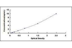 Typical standard curve (SGSH ELISA 试剂盒)