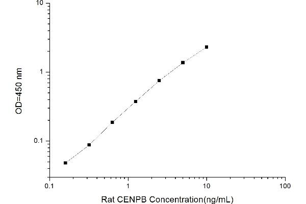 CENPB ELISA 试剂盒