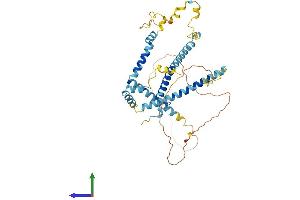 Protein Structure (PS) image for CWC25 Spliceosome-Associated Protein Homolog (CWC25) (AA 1-416) protein (His tag) (ABIN7561279)
