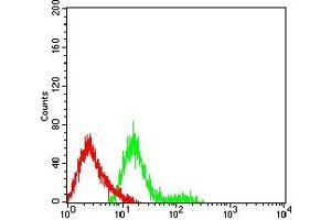 Flow cytometric analysis of HL-60 cells using CD222 mouse mAb (green) and negative control (red). (IGF2R 抗体  (AA 160-311))