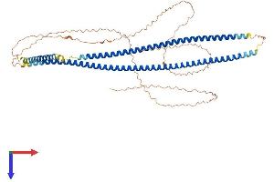 Keratin 10 Protein (KRT10) (AA 1-584) (His tag)