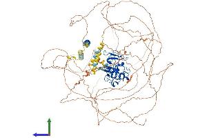 AlphaFold protein structure predicition of Human Recombinant MLLT10 Protein, UniprotID P55197