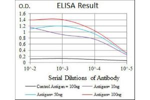 ELISA image for anti-Recombination Activating Gene 1 (RAG1) (AA 818-868) antibody (ABIN1845755) (RAG1 抗体  (AA 818-868))