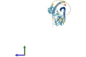 AlphaFold protein structure predicition of Human Recombinant LRSAM1 Protein, UniprotID Q6UWE0