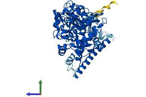 AlphaFold protein structure predicition of Mouse Recombinant Cyp46a1 Protein, UniprotID Q9WVK8