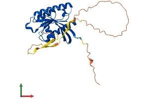 Protein Structure (PS) image for RAS-Like, Family 12 (RASL12) (AA 1-266) protein (His tag) (ABIN7556925)