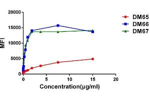 Titration (Titr) image for anti-Tumor Necrosis Factor Receptor Superfamily, Member 9 (TNFRSF9) (AA 24-186) antibody (ABIN7092873)