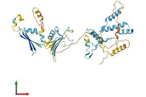 AlphaFold protein structure predicition of Human Recombinant HSP90AA4P Protein, UniprotID Q58FG1 (HSP90AA4P Protein (AA 1-418) (His tag))